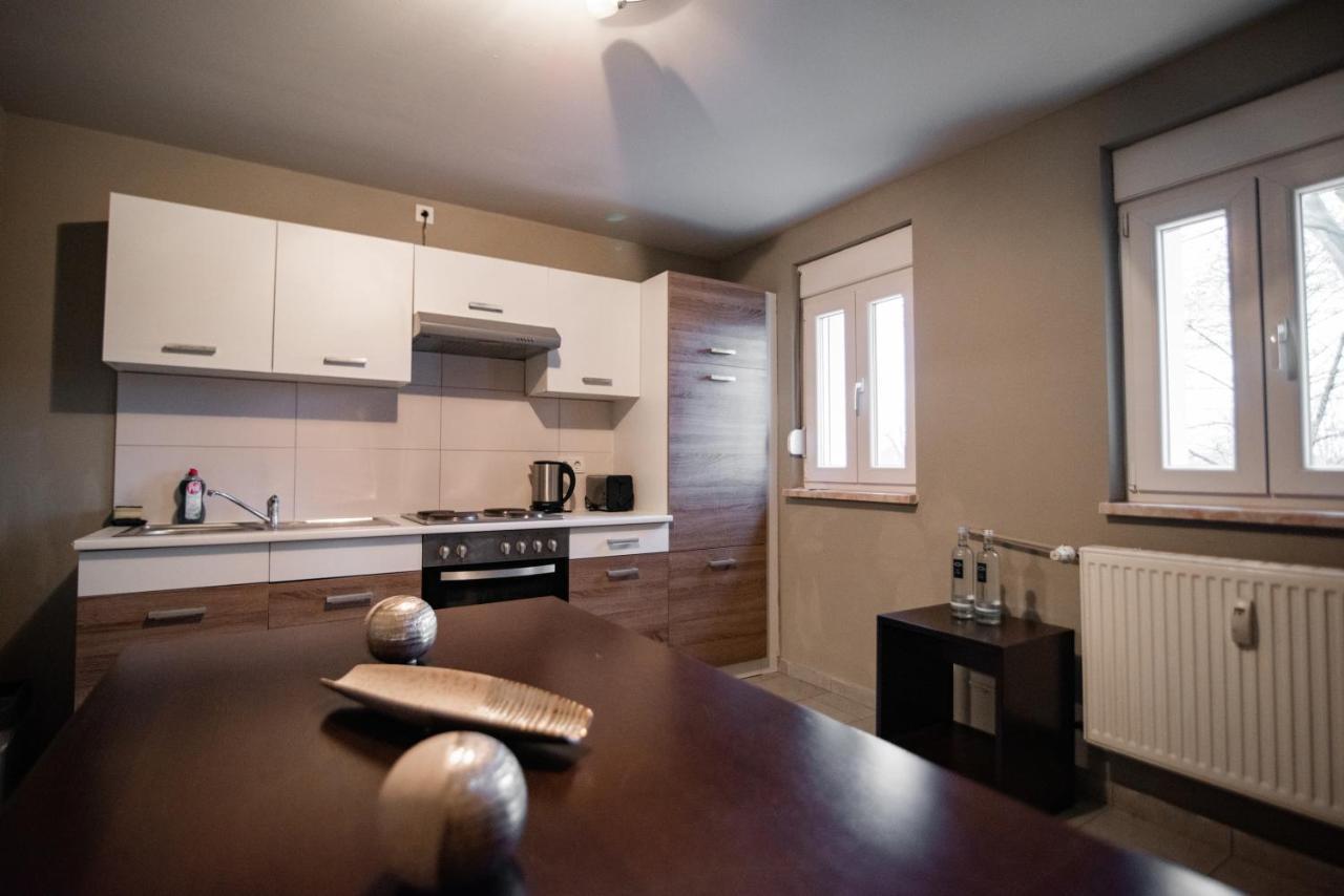 Main Appartments Frankfurt Airport Kelsterbach Zewnętrze zdjęcie